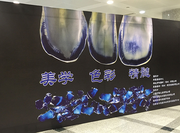 享通租賃全程助力——上海灘美學(xué)盛宴